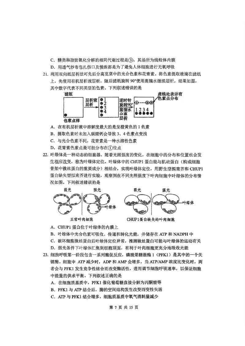 东北师大2025-2026高一上期末生物_2026年01月高一试卷_260125吉林省长春市东北师大附中2025-2026学年高一上学期期末_吉林省长春市东北师大附中2025-2026学年高一上学期期末生物试题含答案