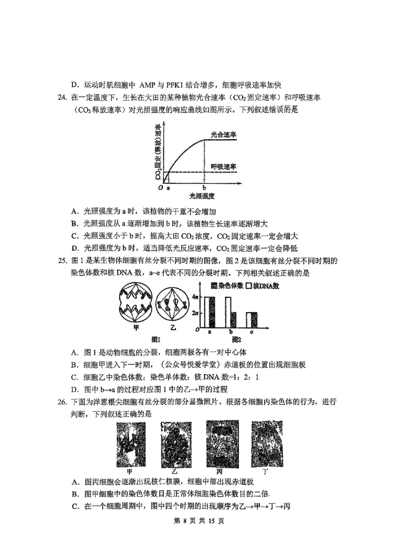 东北师大2025-2026高一上期末生物_2026年01月高一试卷_260125吉林省长春市东北师大附中2025-2026学年高一上学期期末_吉林省长春市东北师大附中2025-2026学年高一上学期期末生物试题含答案