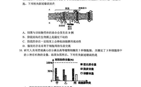 东北师大2025-2026高一上期末生物_2026年01月高一试卷_260125吉林省长春市东北师大附中2025-2026学年高一上学期期末_吉林省长春市东北师大附中2025-2026学年高一上学期期末生物试题含答案
