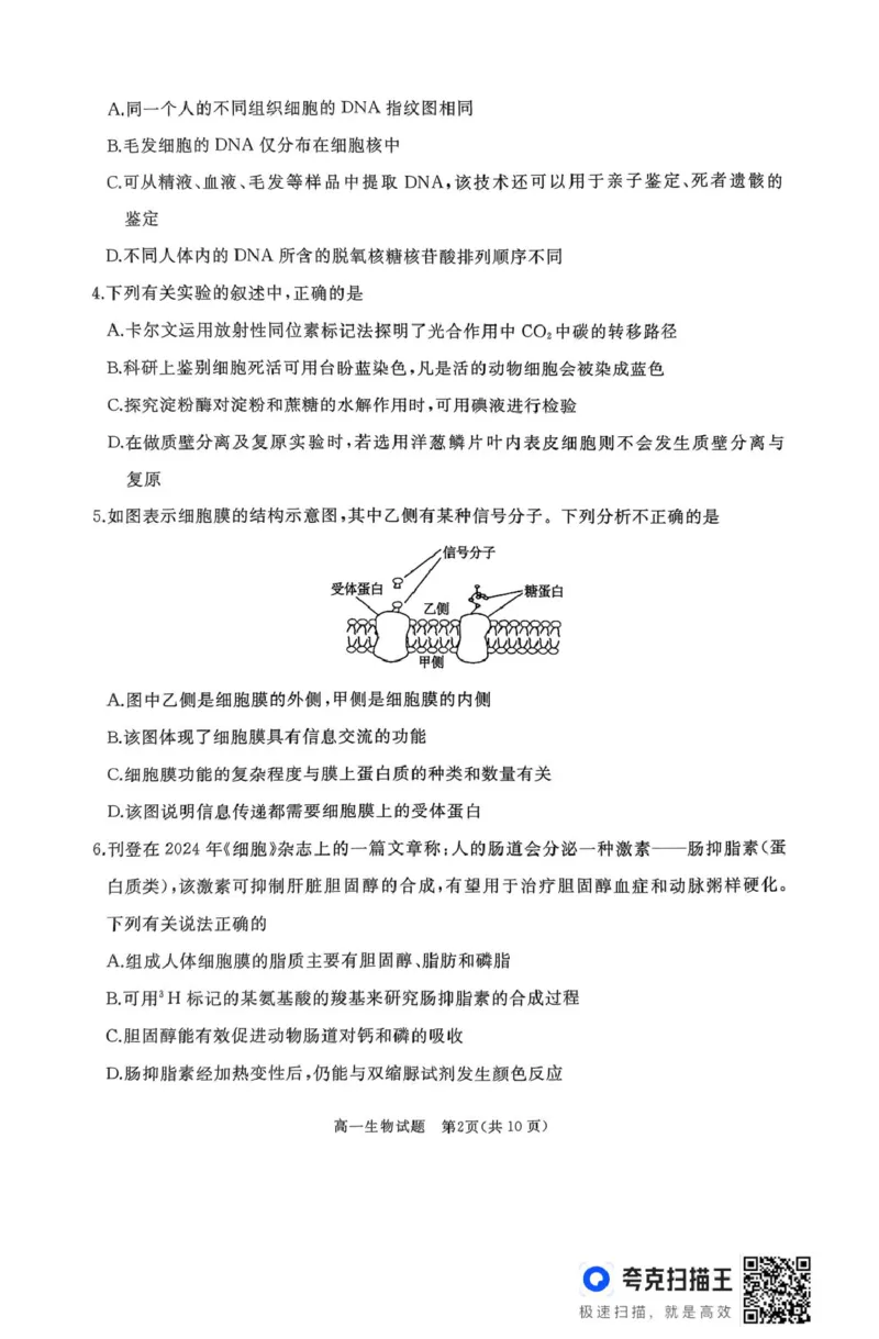 作业美化_高一生物试题_2025年03月试卷_0308山东省枣庄市台儿庄区等2地2024-2025学年高一上学期1月期末考试