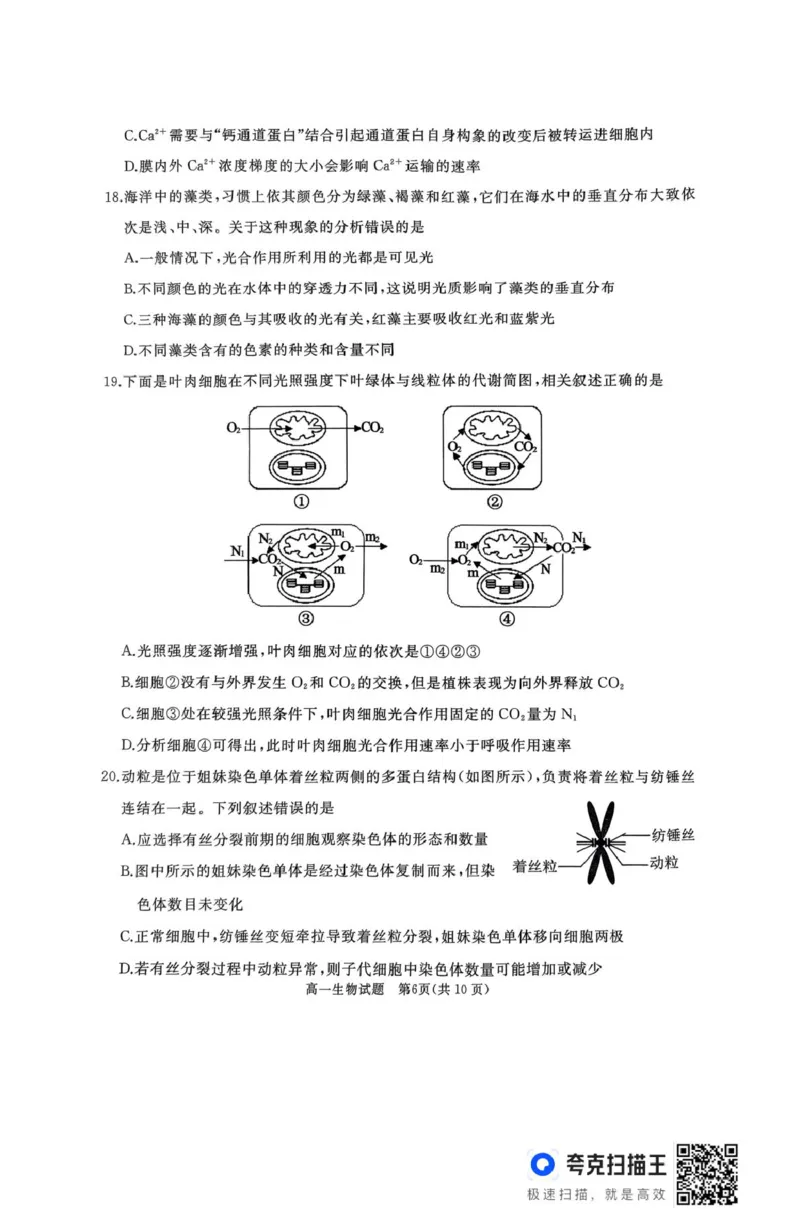 作业美化_高一生物试题_2025年03月试卷_0308山东省枣庄市台儿庄区等2地2024-2025学年高一上学期1月期末考试