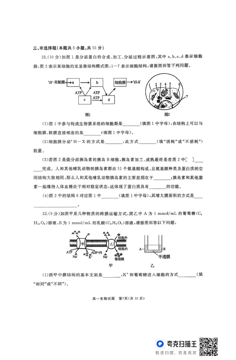 作业美化_高一生物试题_2025年03月试卷_0308山东省枣庄市台儿庄区等2地2024-2025学年高一上学期1月期末考试
