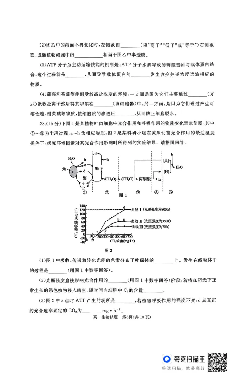 作业美化_高一生物试题_2025年03月试卷_0308山东省枣庄市台儿庄区等2地2024-2025学年高一上学期1月期末考试