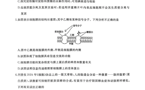 作业美化_高一生物试题_2025年03月试卷_0308山东省枣庄市台儿庄区等2地2024-2025学年高一上学期1月期末考试