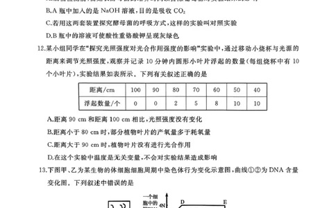 作业美化_高一生物试题_2025年03月试卷_0308山东省枣庄市台儿庄区等2地2024-2025学年高一上学期1月期末考试