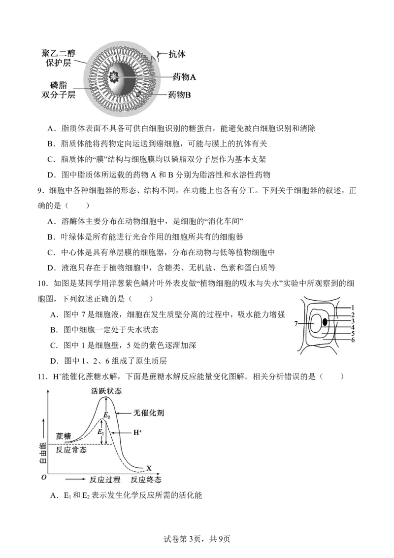 仪陇中学高一生物12月月考卷1_20251222095854_2026年01月高一试卷_260115四川省南充市仪陇中学2025-2026学年高一上学期12月月考试题