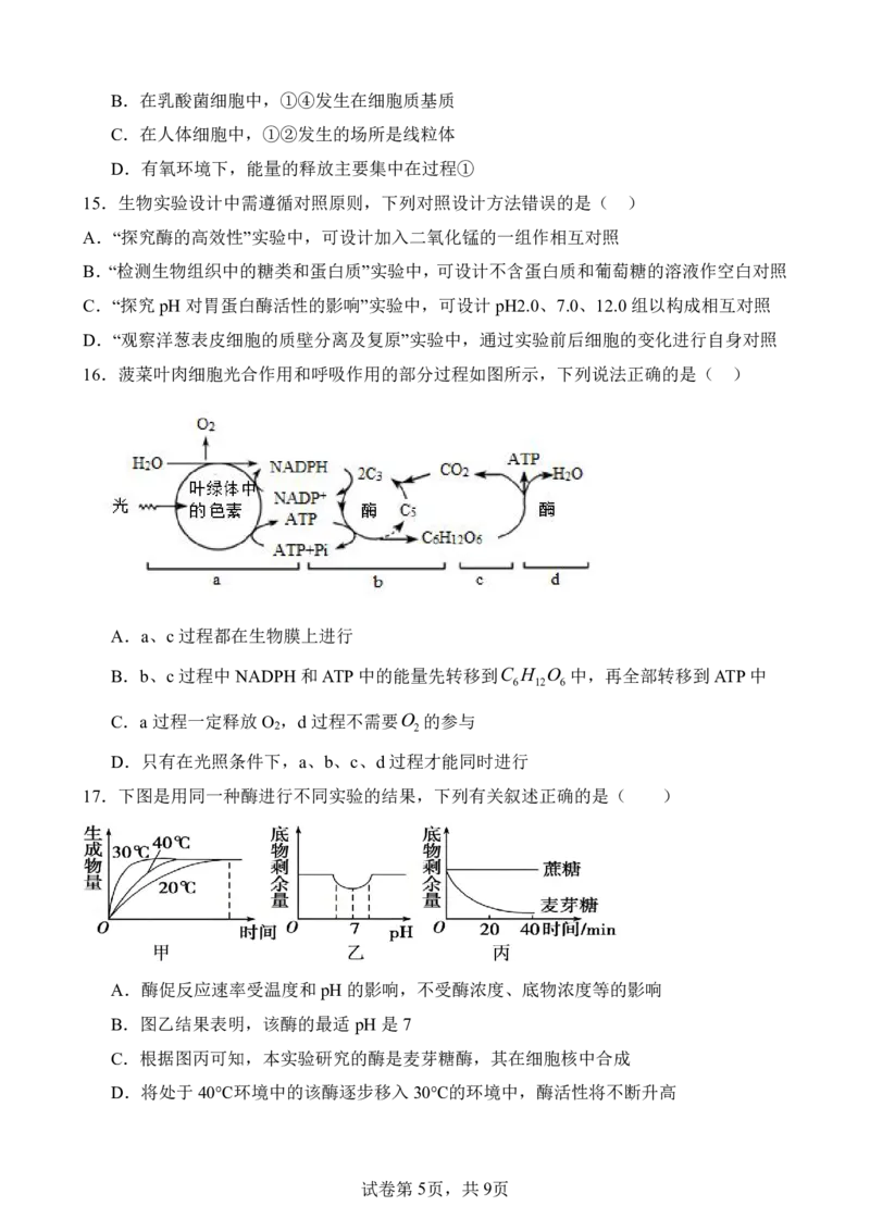 仪陇中学高一生物12月月考卷1_20251222095854_2026年01月高一试卷_260115四川省南充市仪陇中学2025-2026学年高一上学期12月月考试题