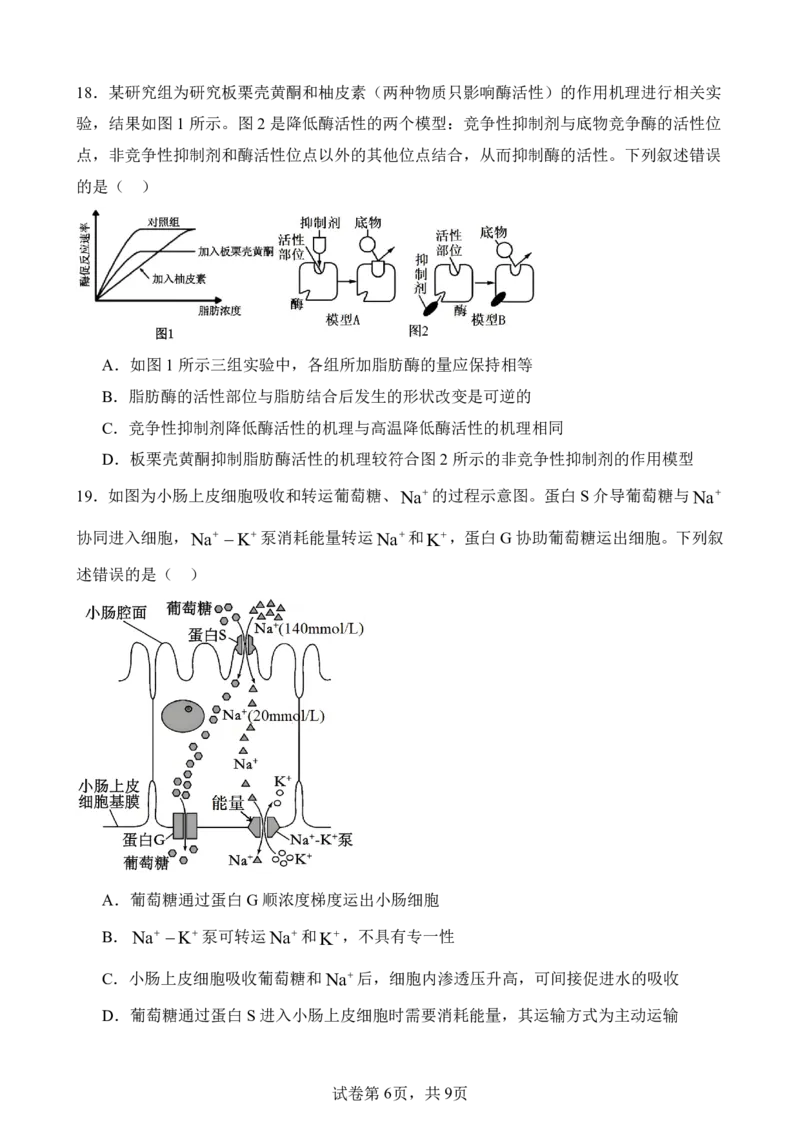 仪陇中学高一生物12月月考卷1_20251222095854_2026年01月高一试卷_260115四川省南充市仪陇中学2025-2026学年高一上学期12月月考试题
