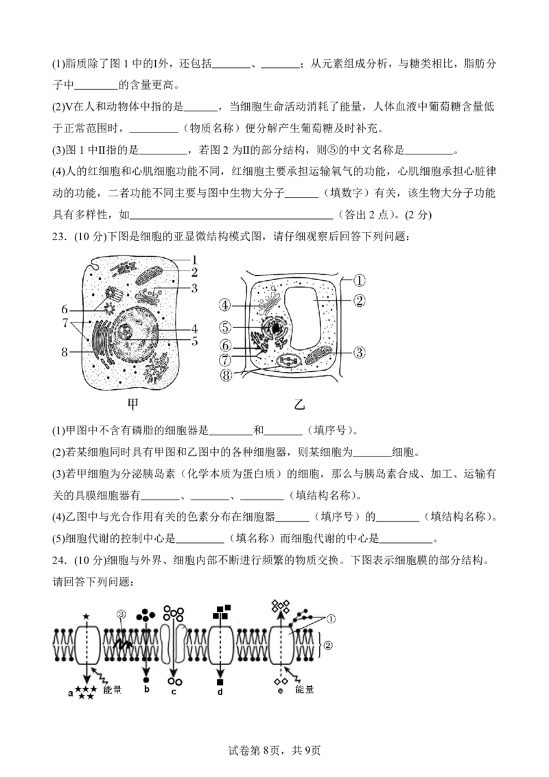 仪陇中学高一生物12月月考卷1_20251222095854_2026年01月高一试卷_260115四川省南充市仪陇中学2025-2026学年高一上学期12月月考试题