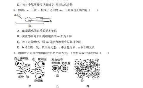 仪陇中学高一生物12月月考卷1_20251222095854_2026年01月高一试卷_260115四川省南充市仪陇中学2025-2026学年高一上学期12月月考试题