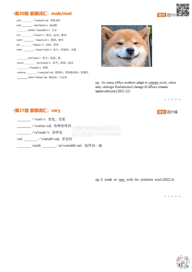 [5.14]--家族词汇30-31str、mobmot_2026年6月其他机构_05.2026四级英语26年06月_09.2026四级英语橙啦老师_00课件