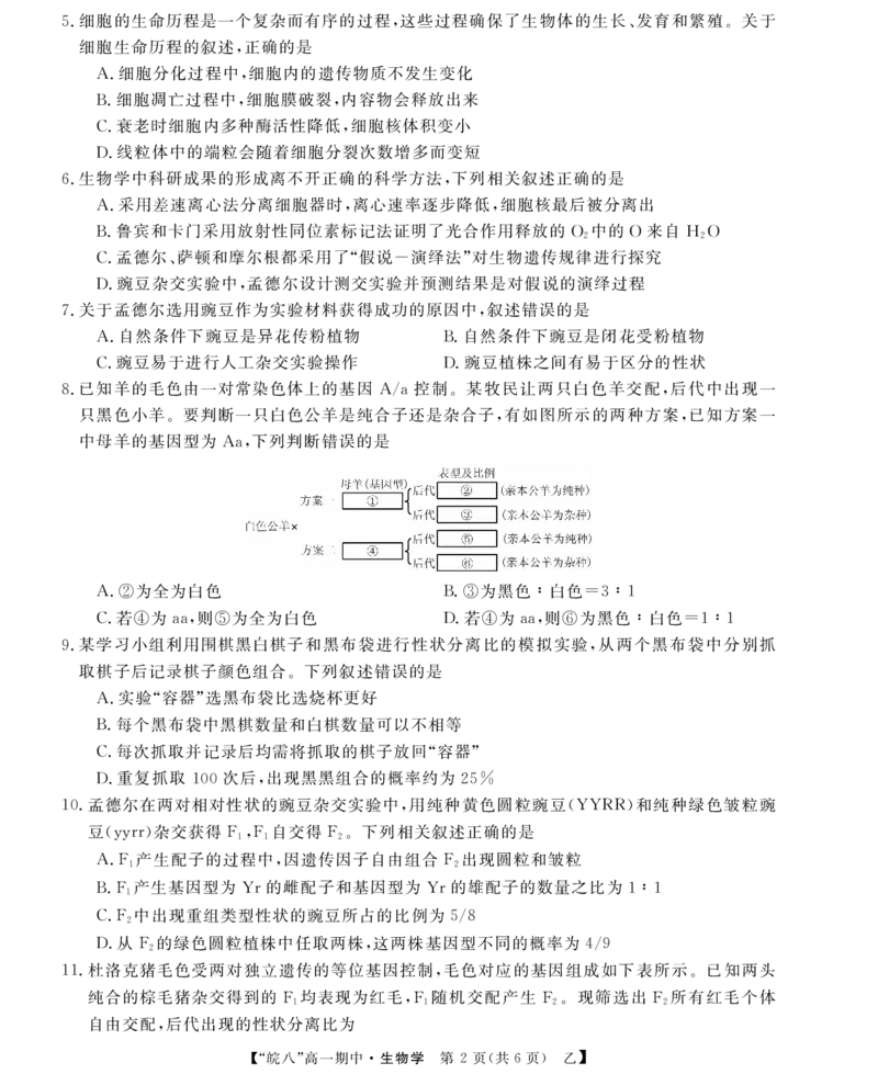 &ldquo;皖南八校&rdquo;2024-2025学年高一第二学期期中考试-生物（乙）_2025年04月试卷_0422安徽皖南八校&rdquo;2024-2025学年高一第二学期期中考试_安徽省皖南八校2024-2025学年高一下学期4月期中生物(乙)