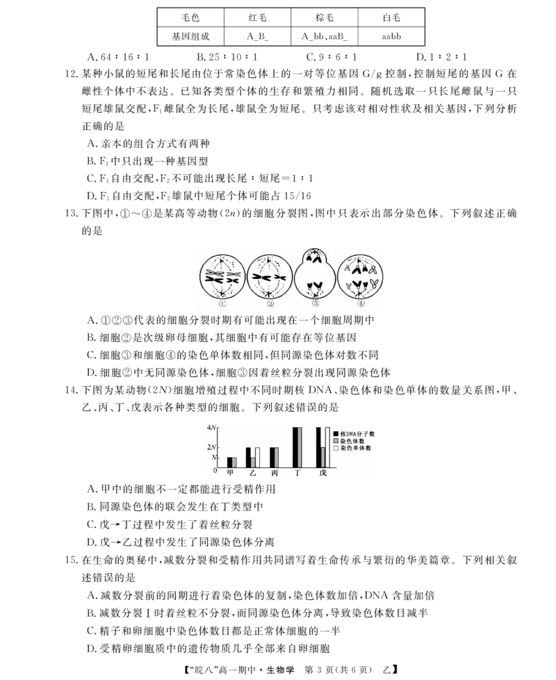 &ldquo;皖南八校&rdquo;2024-2025学年高一第二学期期中考试-生物（乙）_2025年04月试卷_0422安徽皖南八校&rdquo;2024-2025学年高一第二学期期中考试_安徽省皖南八校2024-2025学年高一下学期4月期中生物(乙)