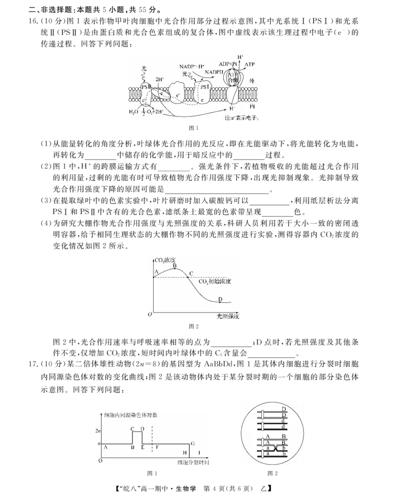 &ldquo;皖南八校&rdquo;2024-2025学年高一第二学期期中考试-生物（乙）_2025年04月试卷_0422安徽皖南八校&rdquo;2024-2025学年高一第二学期期中考试_安徽省皖南八校2024-2025学年高一下学期4月期中生物(乙)