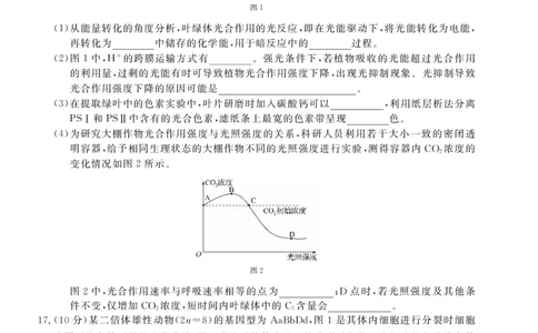 &ldquo;皖南八校&rdquo;2024-2025学年高一第二学期期中考试-生物（乙）_2025年04月试卷_0422安徽皖南八校&rdquo;2024-2025学年高一第二学期期中考试_安徽省皖南八校2024-2025学年高一下学期4月期中生物(乙)