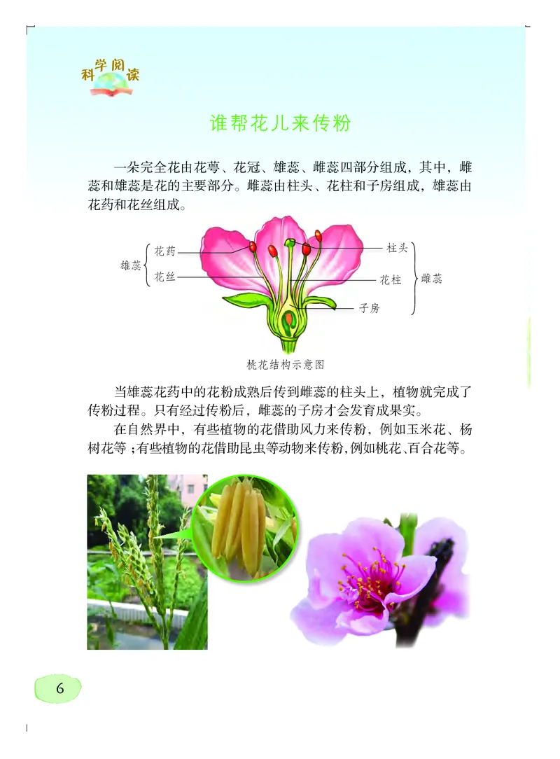 义务教育教科书&middot;科学四年级上册_电子课本_小学电子课本_05科学_粤教粤科版