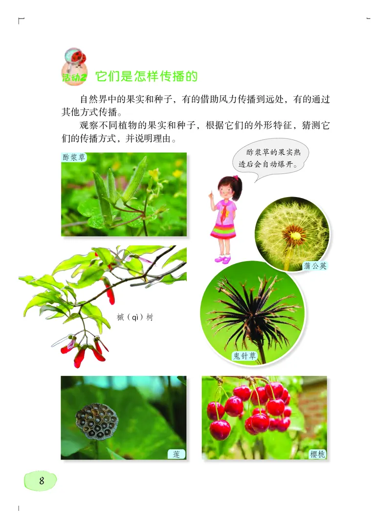 义务教育教科书&middot;科学四年级上册_电子课本_小学电子课本_05科学_粤教粤科版