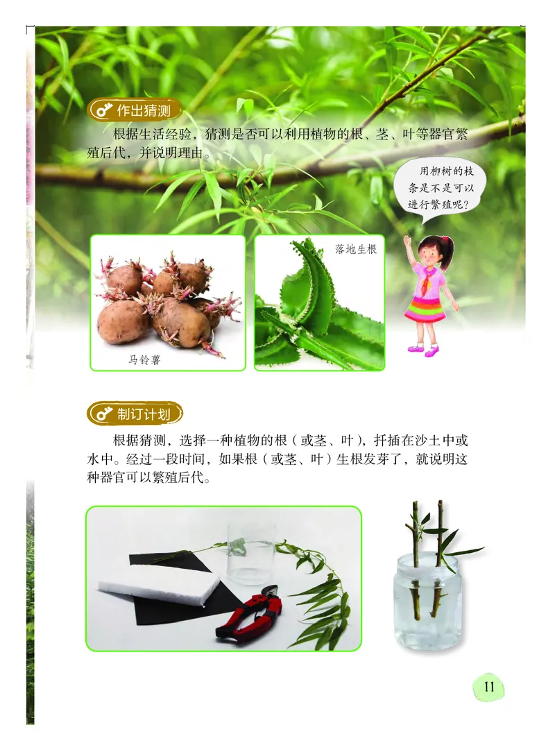 义务教育教科书&middot;科学四年级上册_电子课本_小学电子课本_05科学_粤教粤科版