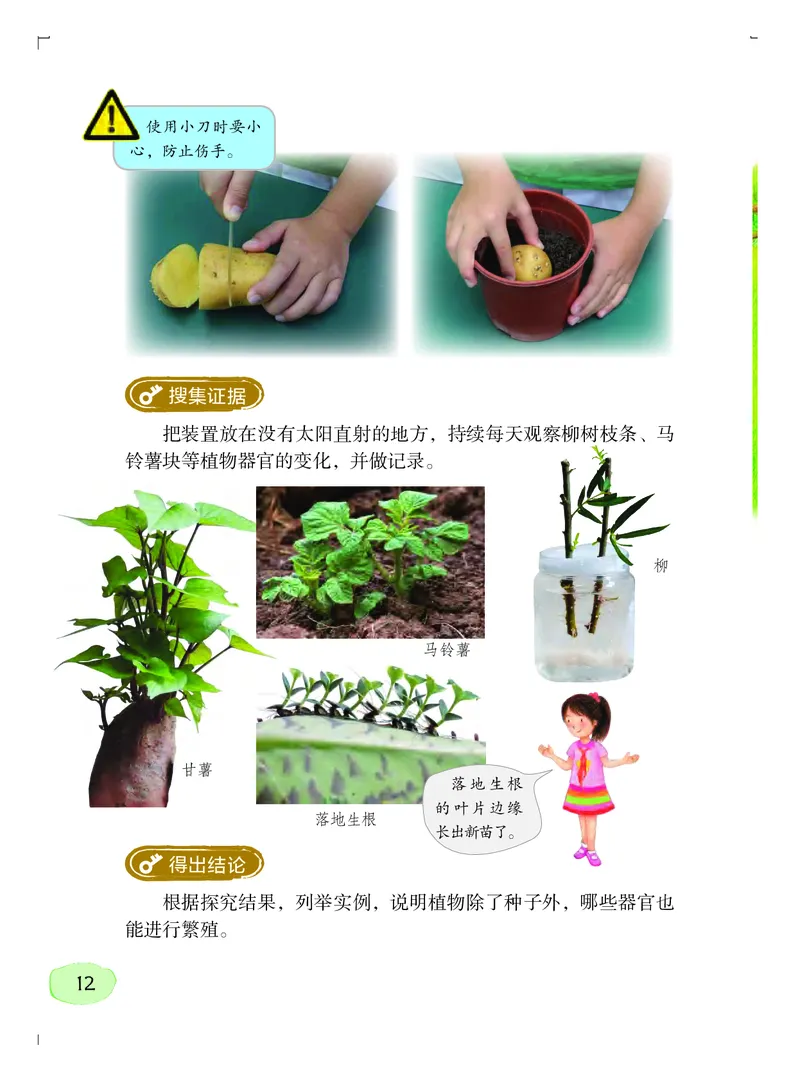 义务教育教科书&middot;科学四年级上册_电子课本_小学电子课本_05科学_粤教粤科版