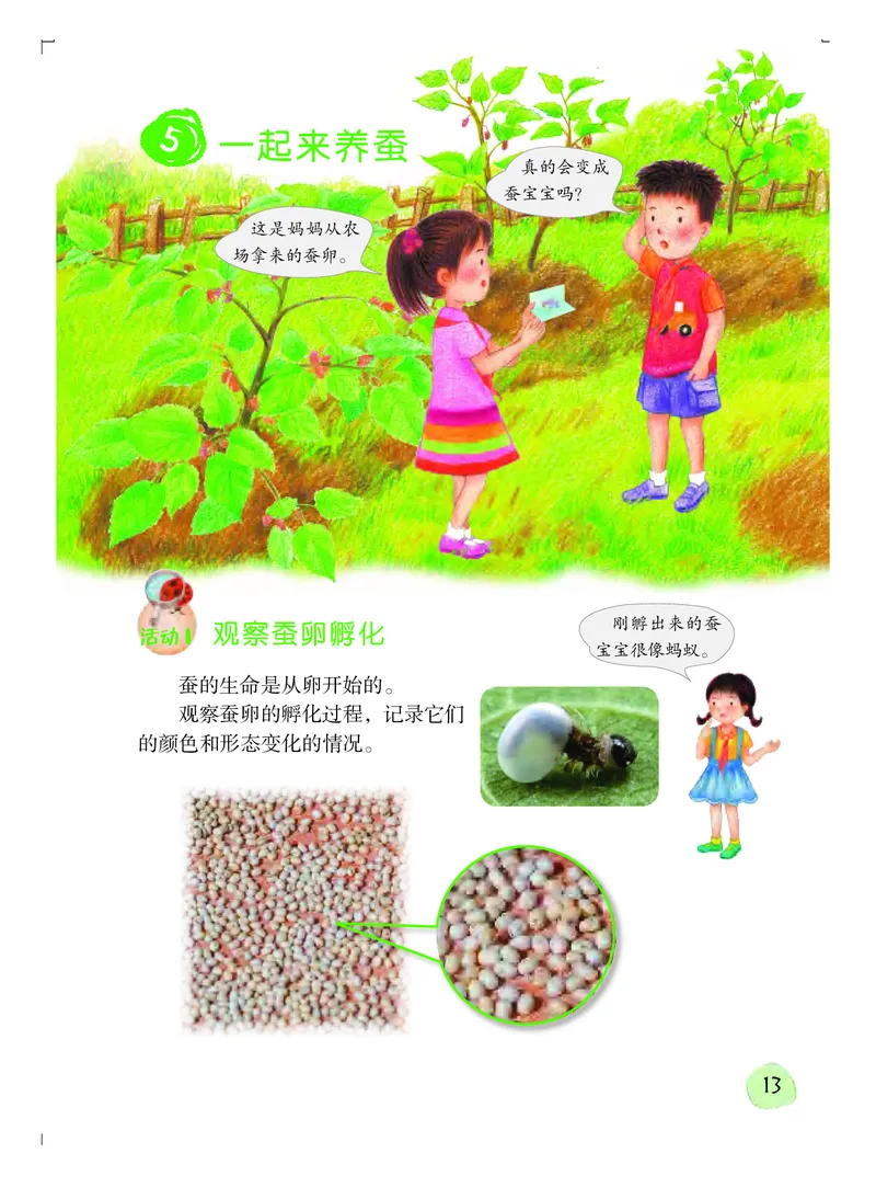 义务教育教科书&middot;科学四年级上册_电子课本_小学电子课本_05科学_粤教粤科版