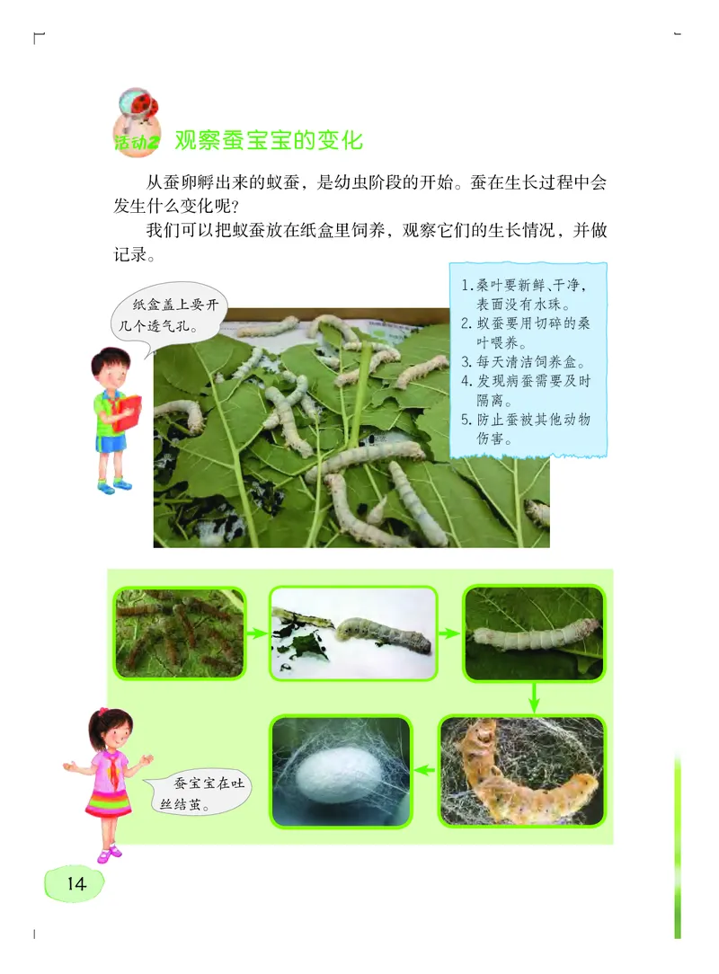 义务教育教科书&middot;科学四年级上册_电子课本_小学电子课本_05科学_粤教粤科版
