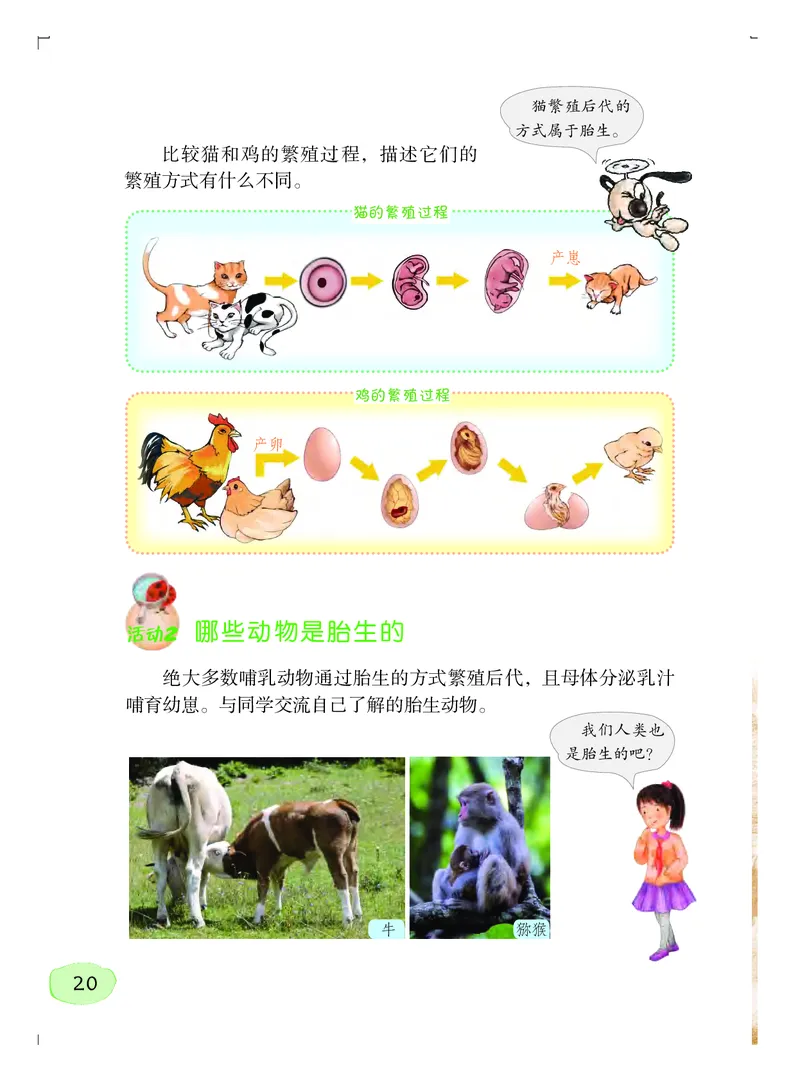 义务教育教科书&middot;科学四年级上册_电子课本_小学电子课本_05科学_粤教粤科版