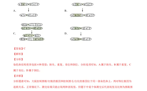 专题08生物的变异和进化-三年（2020-2022）高考真题生物分项汇编（全国通用）（解析版）_高考真题分类汇编(2012-2022)生物_高考真题分项汇编(2020-2022)生物