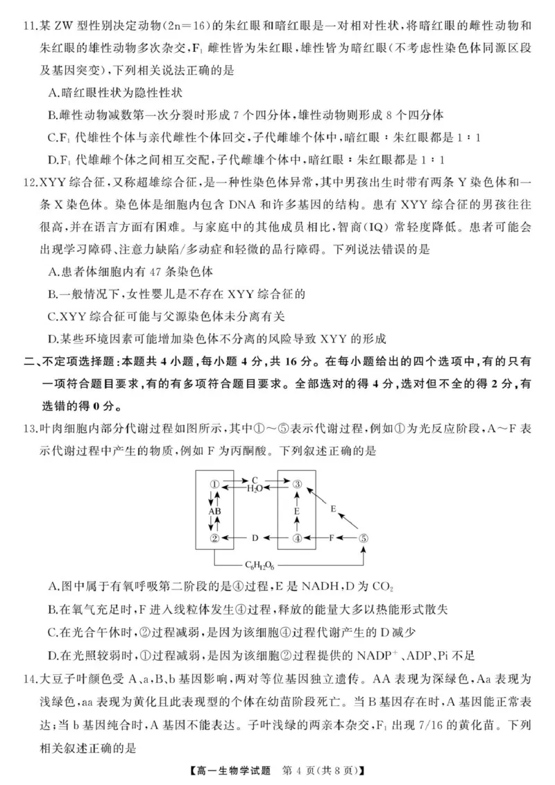 三湘名校教育联盟-2025年上学期高一期中考试-生物学三湘名校教育联盟-2025年上学期高一期中考试-生物学_2025年04月试卷_0425湖南省三湘名校教育联盟2024-2025学年高一下学期期中考试