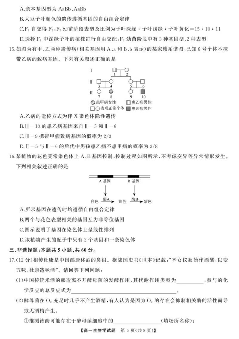 三湘名校教育联盟-2025年上学期高一期中考试-生物学三湘名校教育联盟-2025年上学期高一期中考试-生物学_2025年04月试卷_0425湖南省三湘名校教育联盟2024-2025学年高一下学期期中考试
