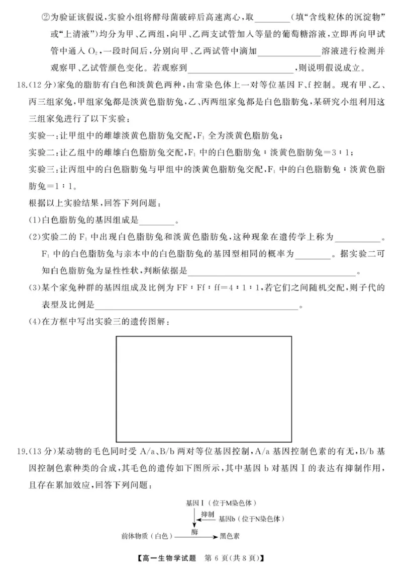 三湘名校教育联盟-2025年上学期高一期中考试-生物学三湘名校教育联盟-2025年上学期高一期中考试-生物学_2025年04月试卷_0425湖南省三湘名校教育联盟2024-2025学年高一下学期期中考试