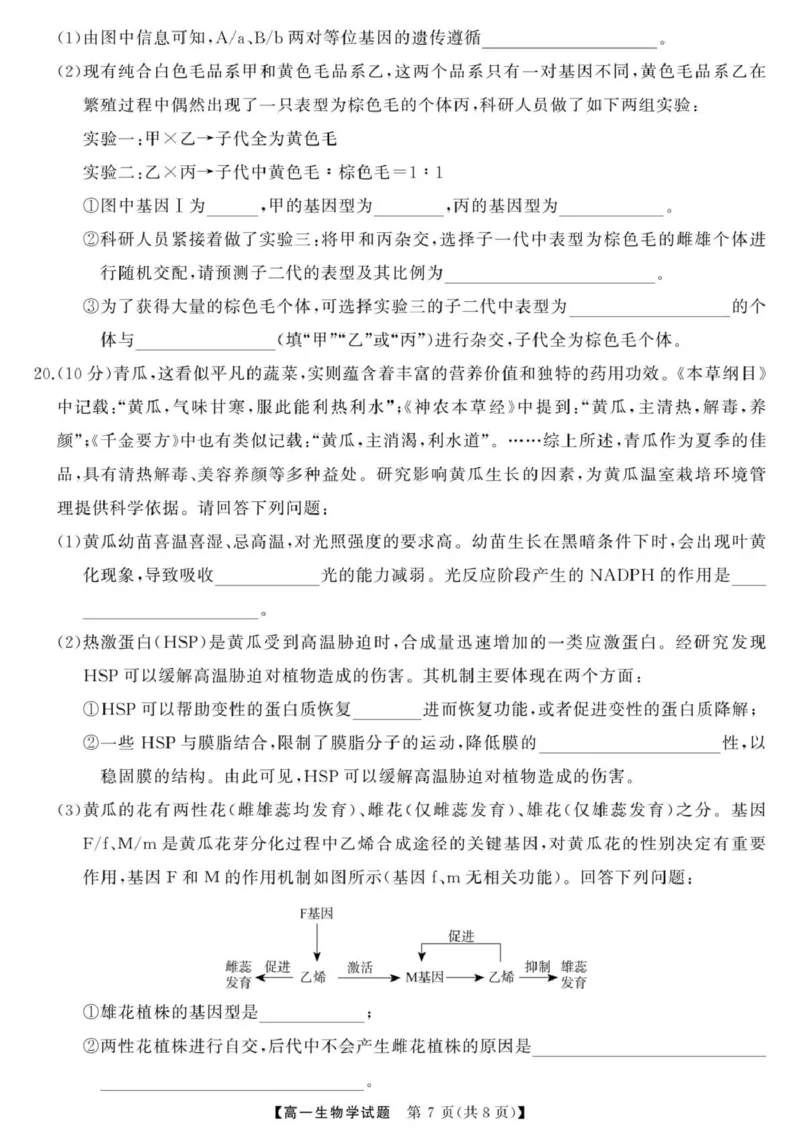 三湘名校教育联盟-2025年上学期高一期中考试-生物学三湘名校教育联盟-2025年上学期高一期中考试-生物学_2025年04月试卷_0425湖南省三湘名校教育联盟2024-2025学年高一下学期期中考试