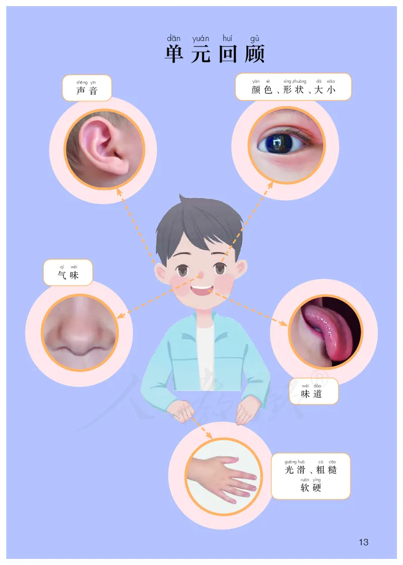 义务教育教科书&middot;科学一年级上册_电子课本_小学电子课本_05科学_人教鄂教版