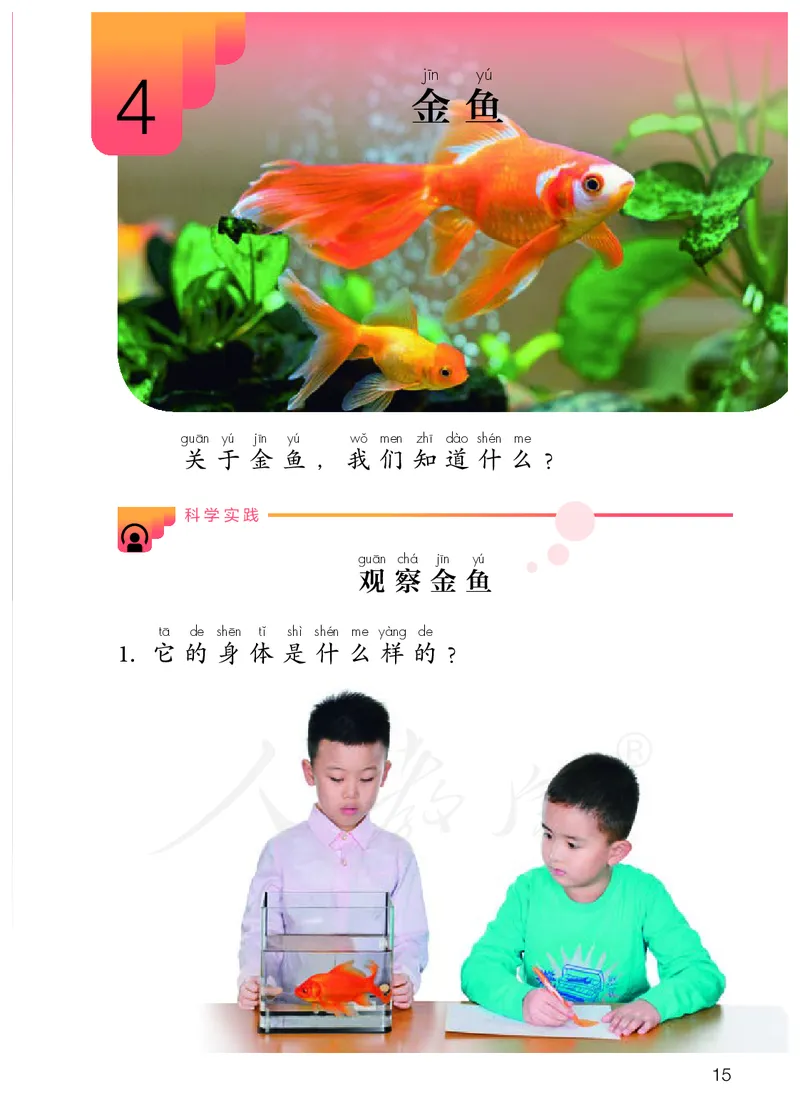 义务教育教科书&middot;科学一年级上册_电子课本_小学电子课本_05科学_人教鄂教版