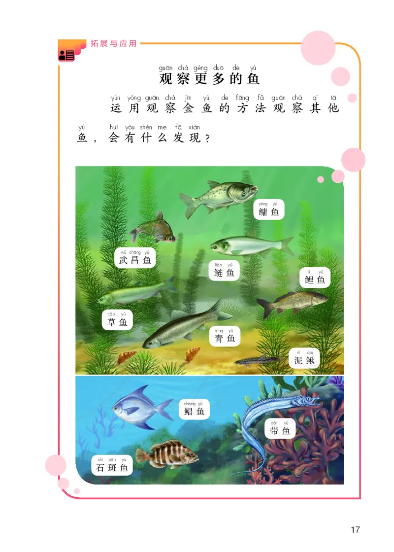 义务教育教科书&middot;科学一年级上册_电子课本_小学电子课本_05科学_人教鄂教版