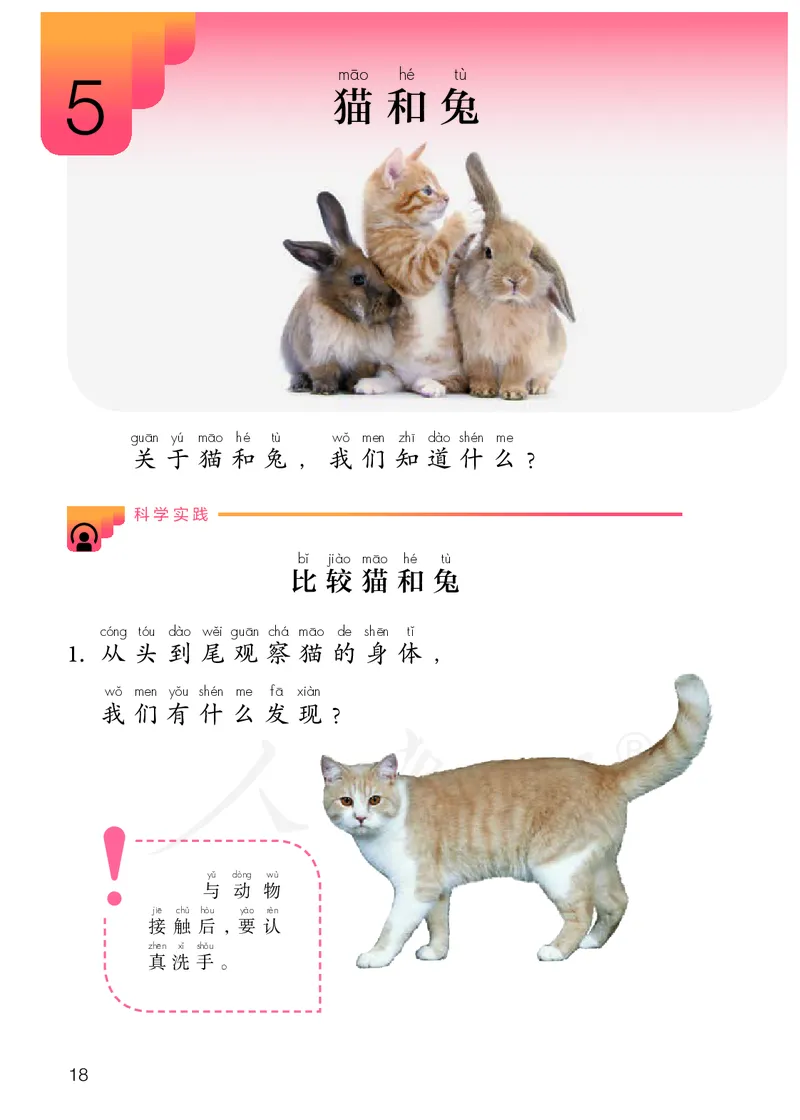 义务教育教科书&middot;科学一年级上册_电子课本_小学电子课本_05科学_人教鄂教版