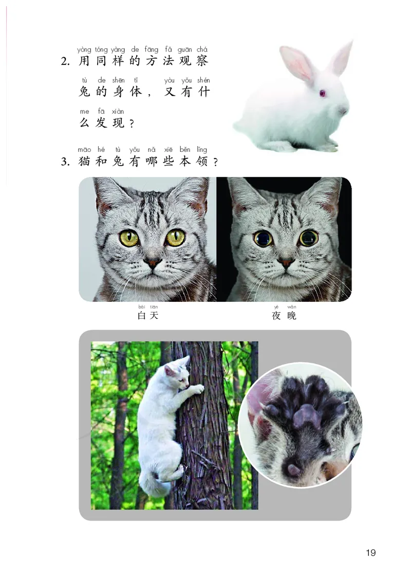 义务教育教科书&middot;科学一年级上册_电子课本_小学电子课本_05科学_人教鄂教版