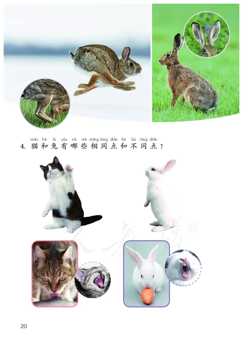 义务教育教科书&middot;科学一年级上册_电子课本_小学电子课本_05科学_人教鄂教版