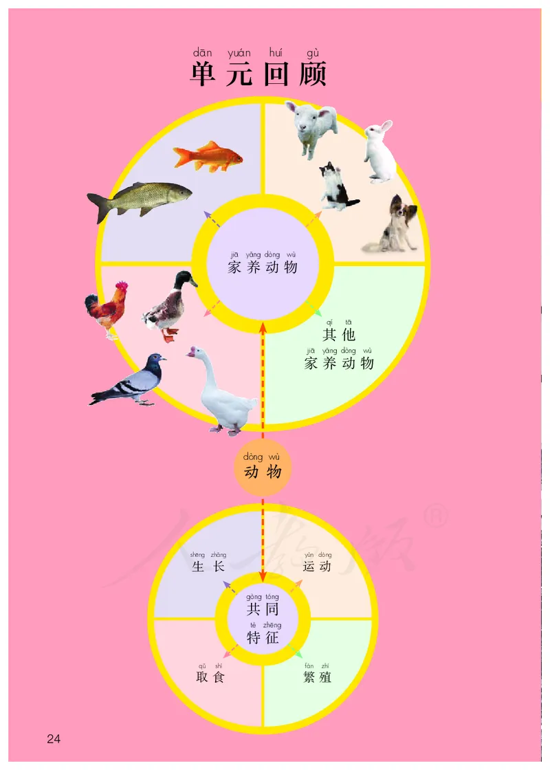 义务教育教科书&middot;科学一年级上册_电子课本_小学电子课本_05科学_人教鄂教版