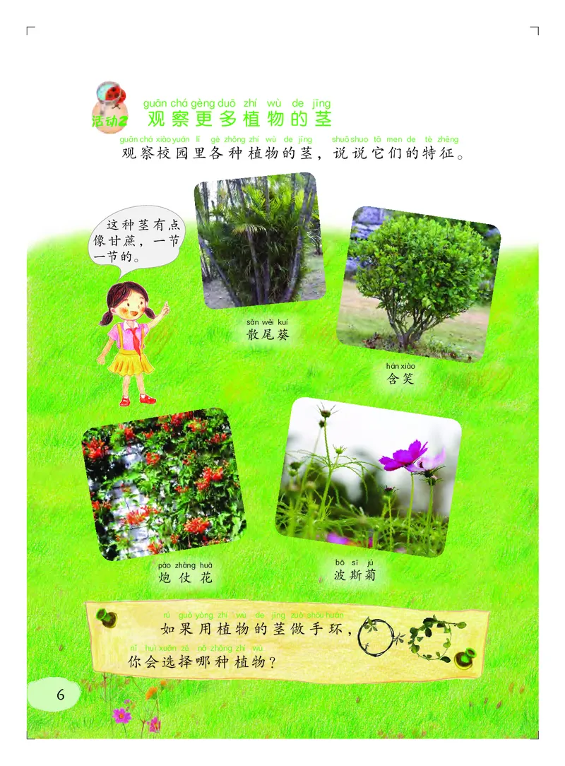 义务教育教科书&middot;科学二年级上册_电子课本_小学电子课本_05科学_粤教粤科版