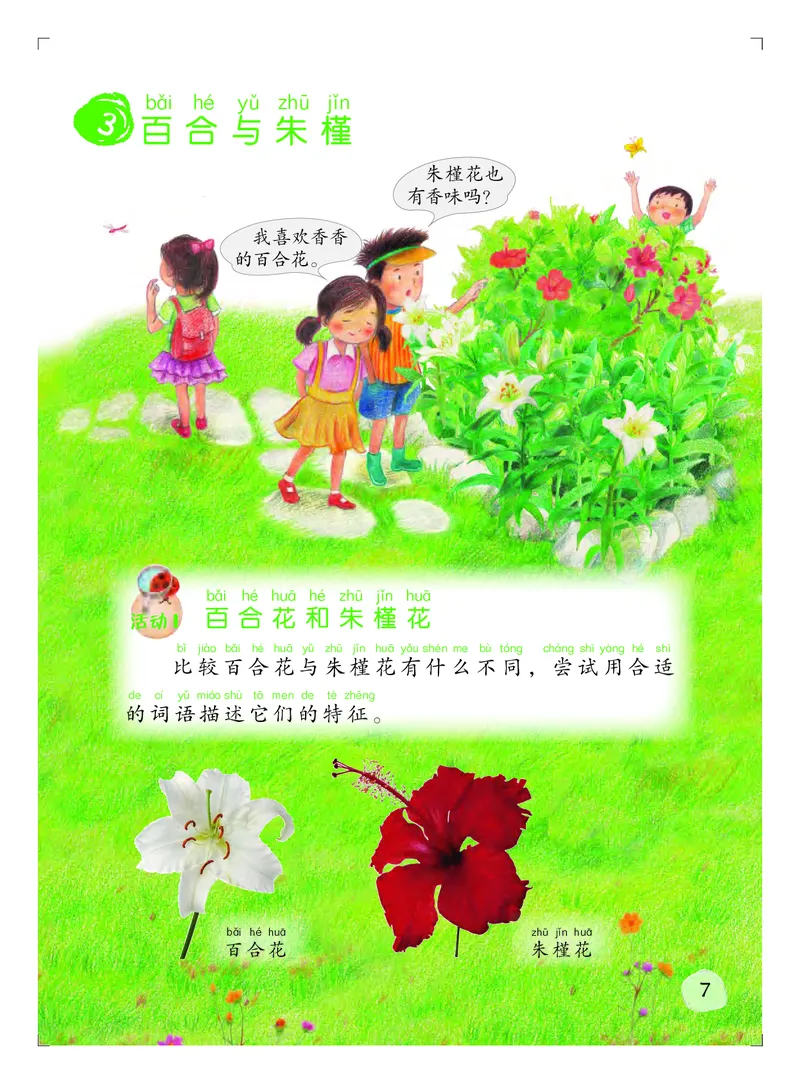 义务教育教科书&middot;科学二年级上册_电子课本_小学电子课本_05科学_粤教粤科版