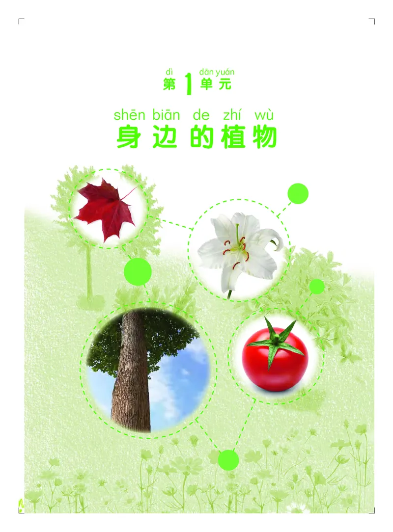 义务教育教科书&middot;科学二年级上册_电子课本_小学电子课本_05科学_粤教粤科版