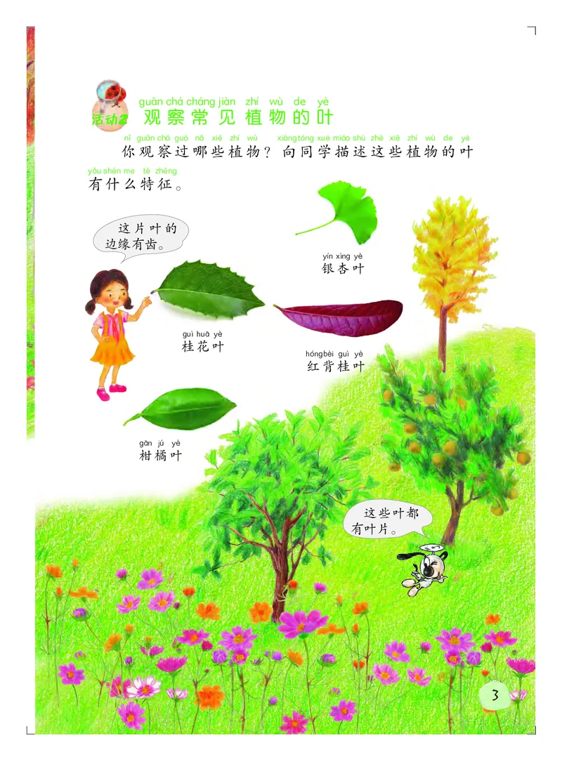 义务教育教科书&middot;科学二年级上册_电子课本_小学电子课本_05科学_粤教粤科版