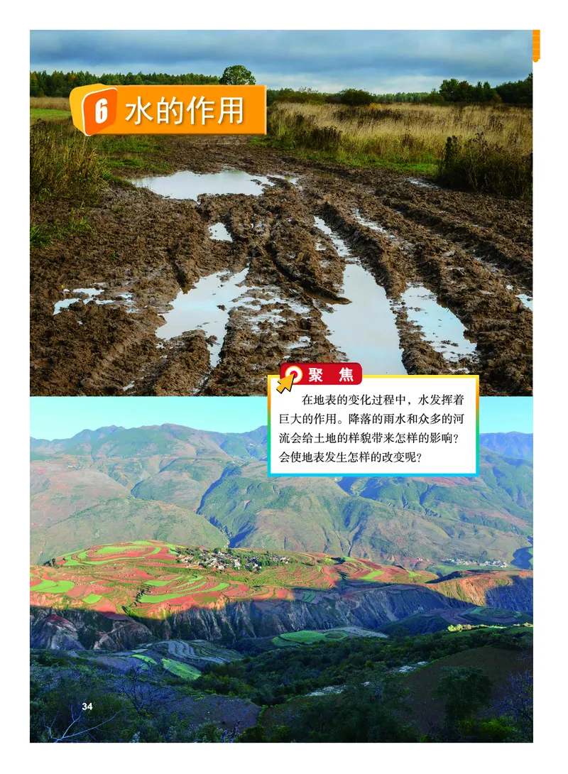 义务教育教科书&middot;科学五年级上册_电子课本_小学电子课本_05科学_教科版