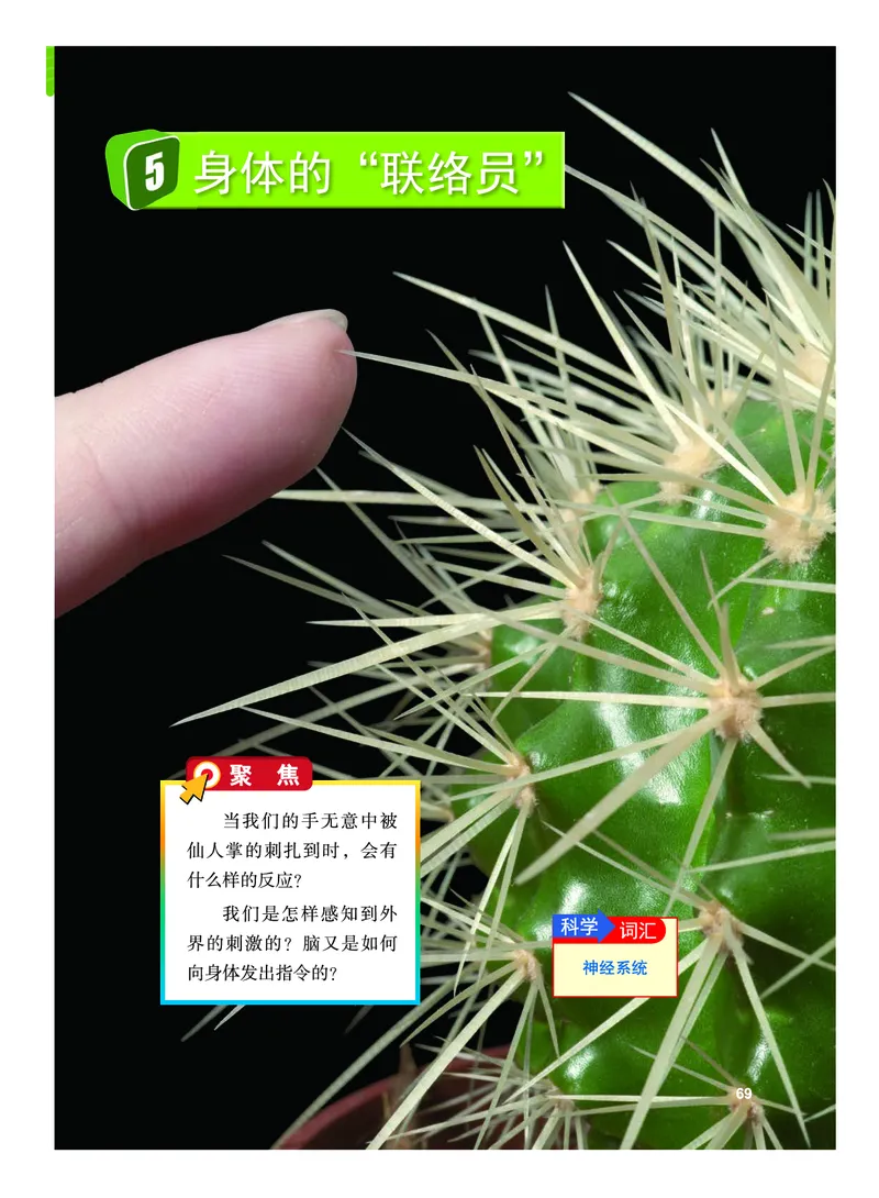 义务教育教科书&middot;科学五年级上册_电子课本_小学电子课本_05科学_教科版