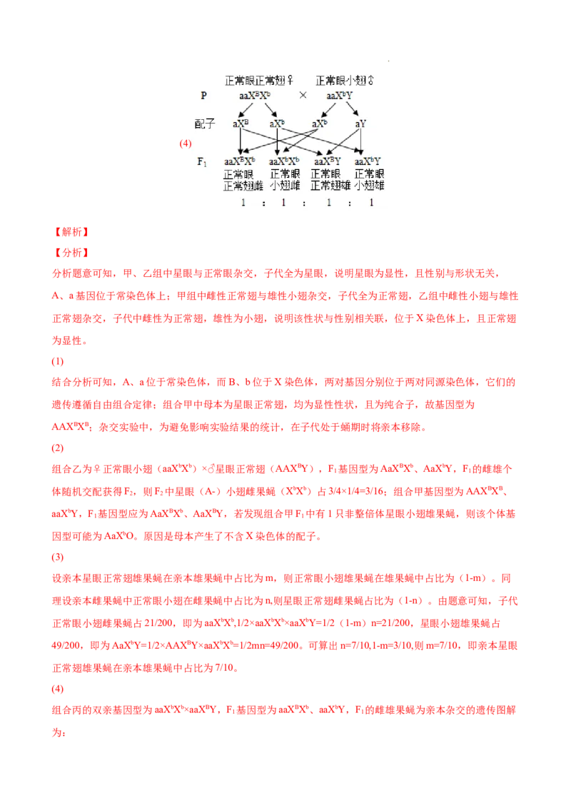 专题06基因的分离定律和自由组合定律-三年（2020-2022）高考真题生物分项汇编（全国通用）（解析版）_高考真题分类汇编(2012-2022)生物_高考真题分项汇编(2020-2022)生物