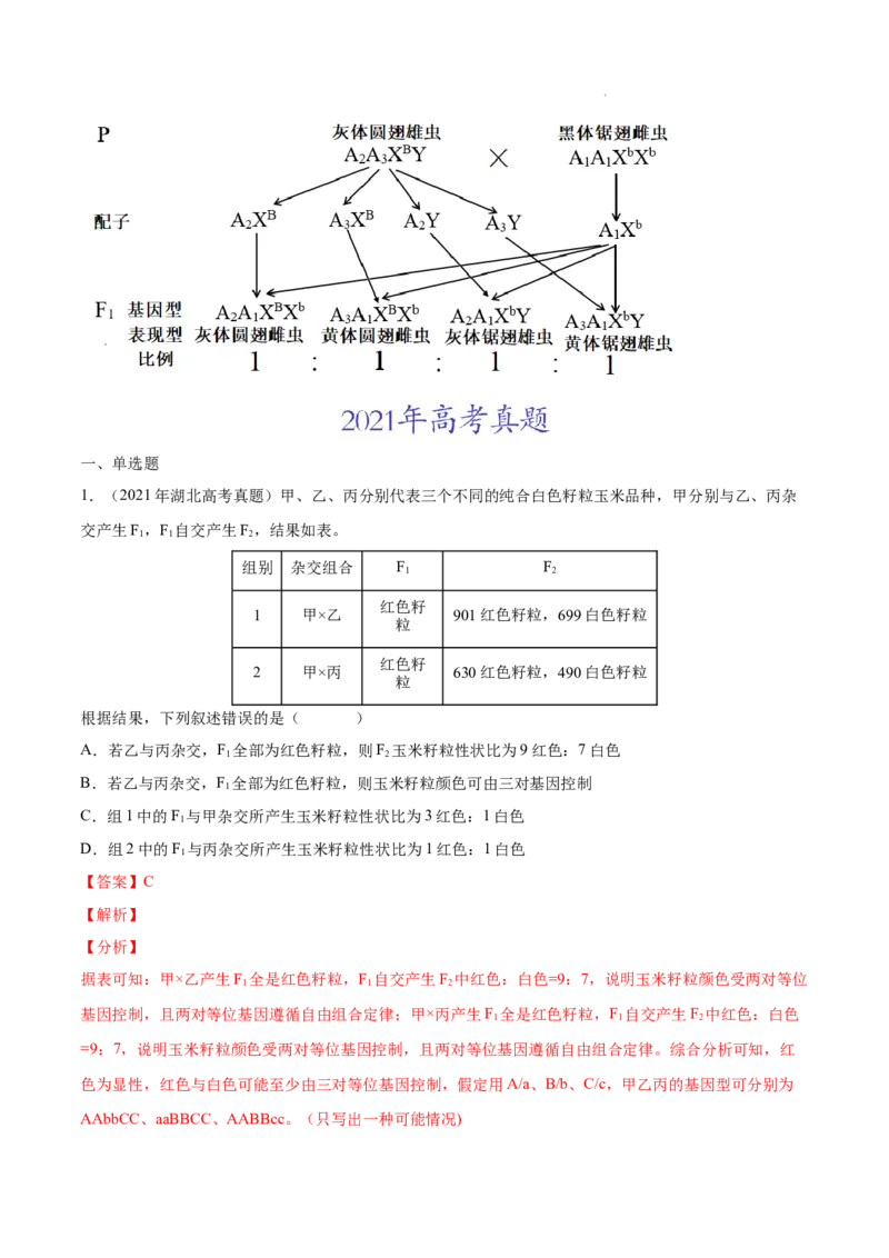 专题06基因的分离定律和自由组合定律-三年（2020-2022）高考真题生物分项汇编（全国通用）（解析版）_高考真题分类汇编(2012-2022)生物_高考真题分项汇编(2020-2022)生物