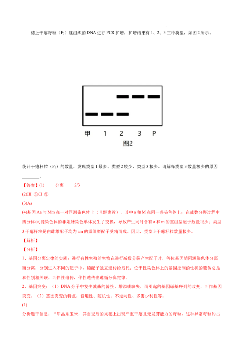 专题06基因的分离定律和自由组合定律-三年（2020-2022）高考真题生物分项汇编（全国通用）（解析版）_高考真题分类汇编(2012-2022)生物_高考真题分项汇编(2020-2022)生物