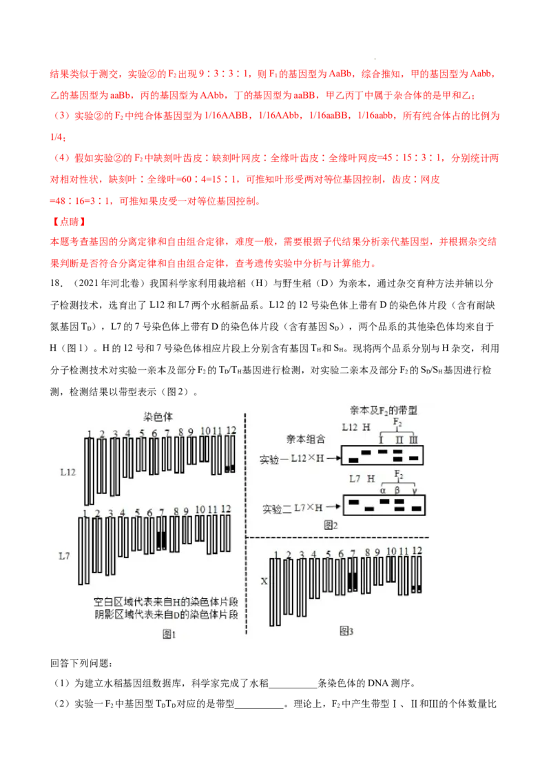 专题06基因的分离定律和自由组合定律-三年（2020-2022）高考真题生物分项汇编（全国通用）（解析版）_高考真题分类汇编(2012-2022)生物_高考真题分项汇编(2020-2022)生物
