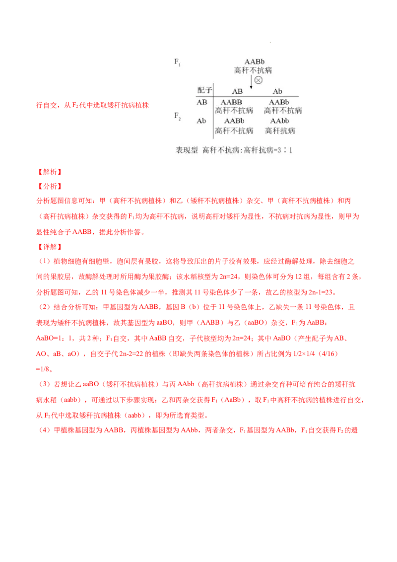专题06基因的分离定律和自由组合定律-三年（2020-2022）高考真题生物分项汇编（全国通用）（解析版）_高考真题分类汇编(2012-2022)生物_高考真题分项汇编(2020-2022)生物