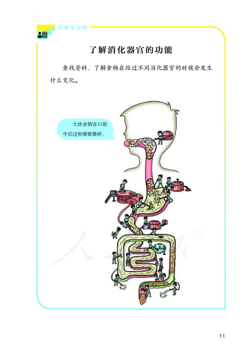 义务教育教科书&middot;科学三年级上册_电子课本_小学电子课本_05科学_人教鄂教版